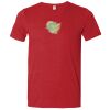 Adult Triblend T-Shirt Thumbnail